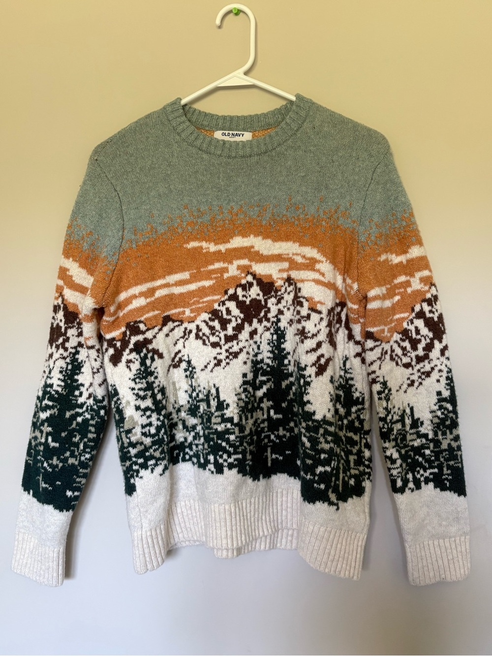Old Navy SoSoft Mountain Crew Neck Sweater